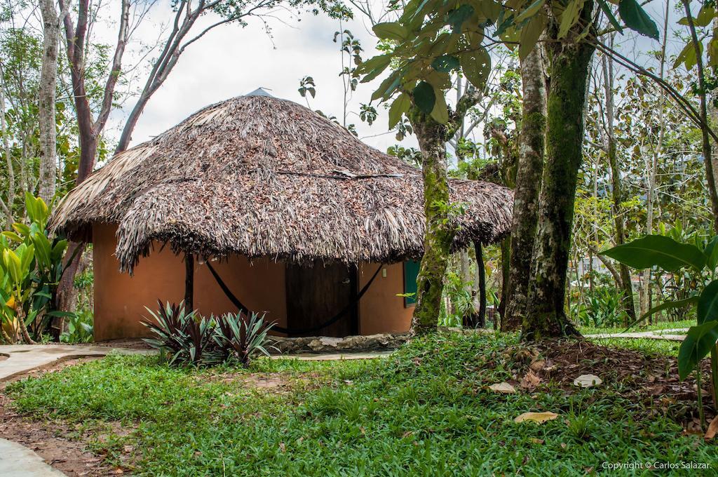 El Colombre Villa Palenque Habitación foto